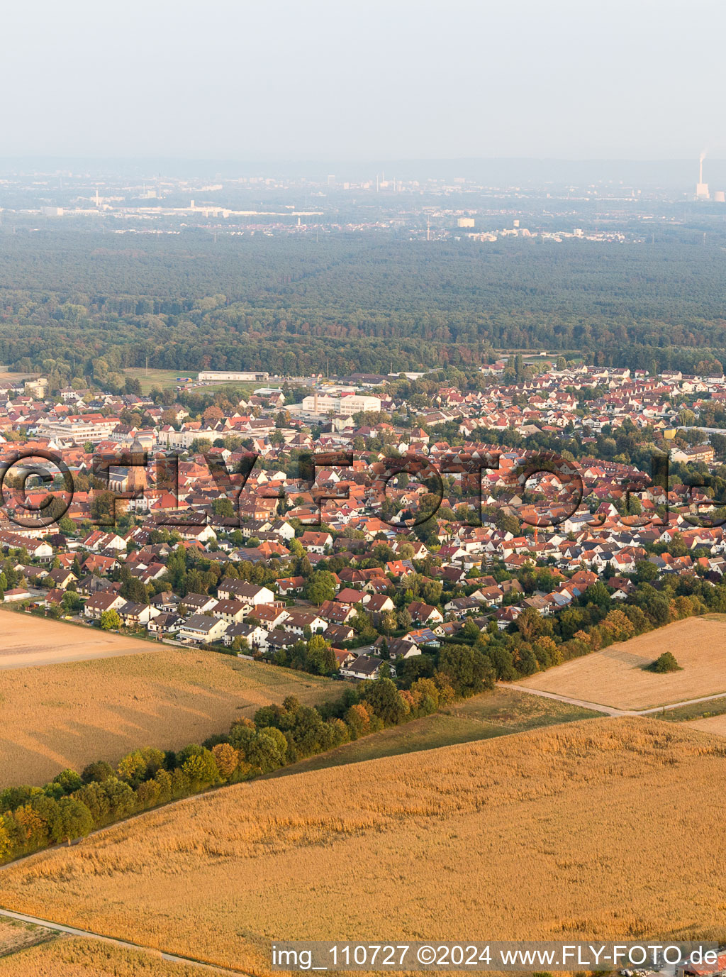 Drone recording of Kandel in the state Rhineland-Palatinate, Germany