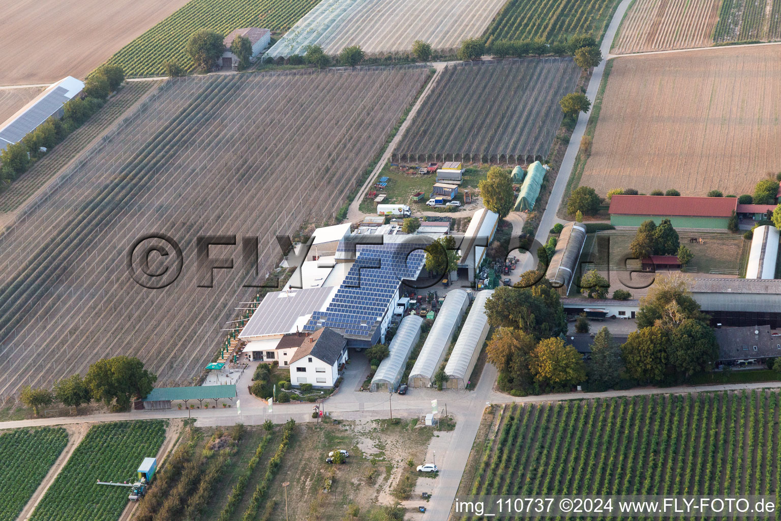 Hofcafée Zapf in Kandel in the state Rhineland-Palatinate, Germany