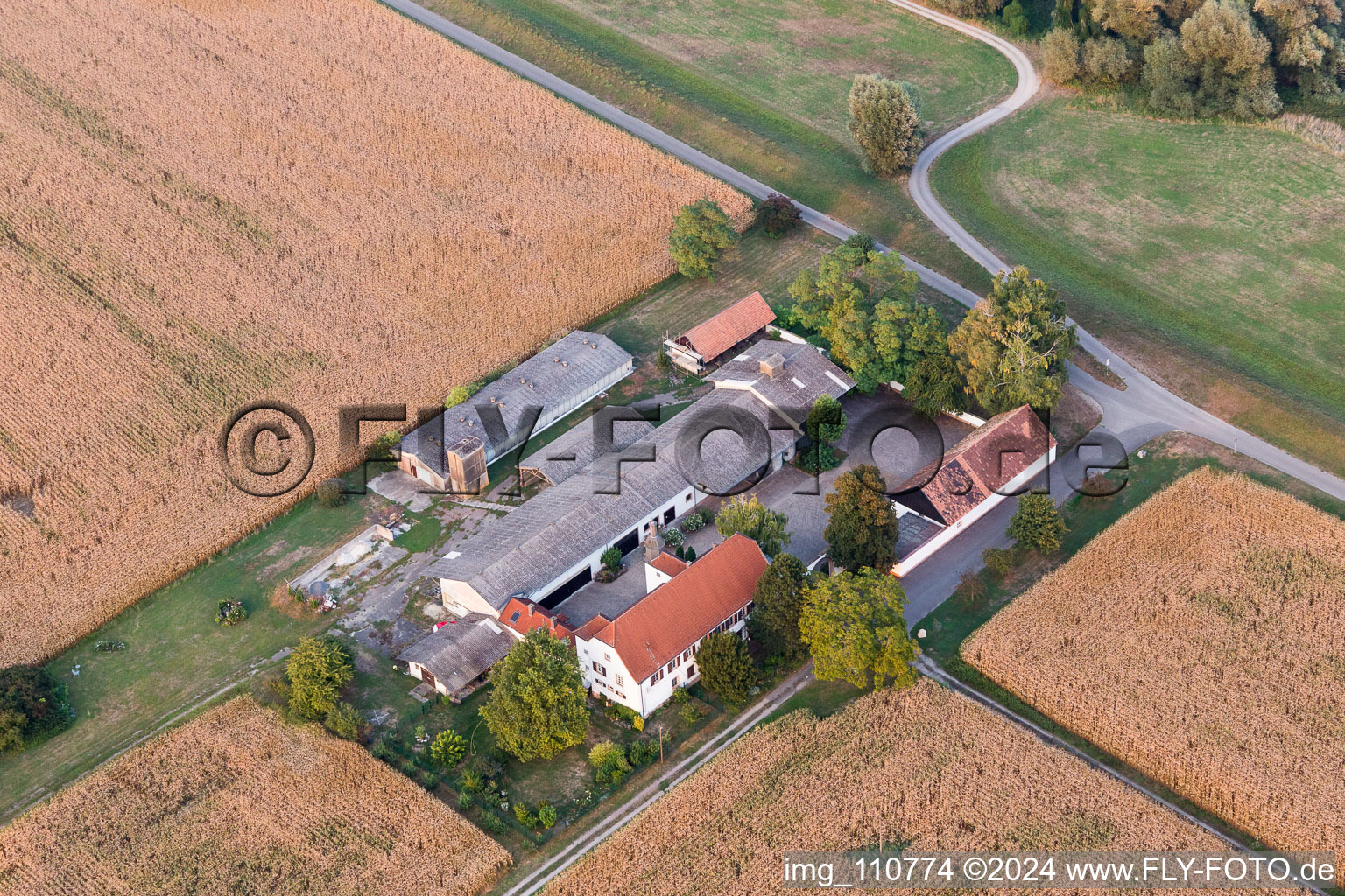 Hofgut Ludwigsau in the district Maximiliansau in Wörth am Rhein in the state Rhineland-Palatinate, Germany