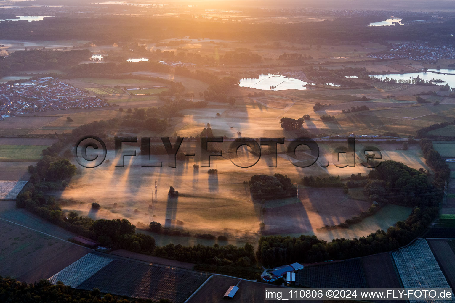 Rhine meadows in the morning haze near Kuhhardt in Rheinzabern in the state Rhineland-Palatinate, Germany