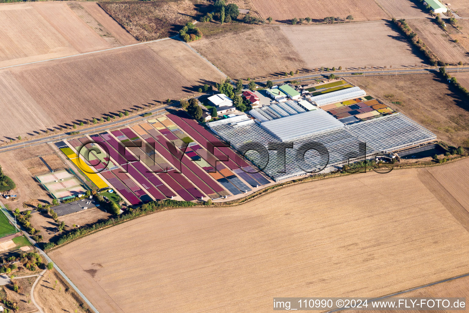 Jörg Wolter Ute Gorges Nursery in the district Hergershausen in Babenhausen in the state Hesse, Germany