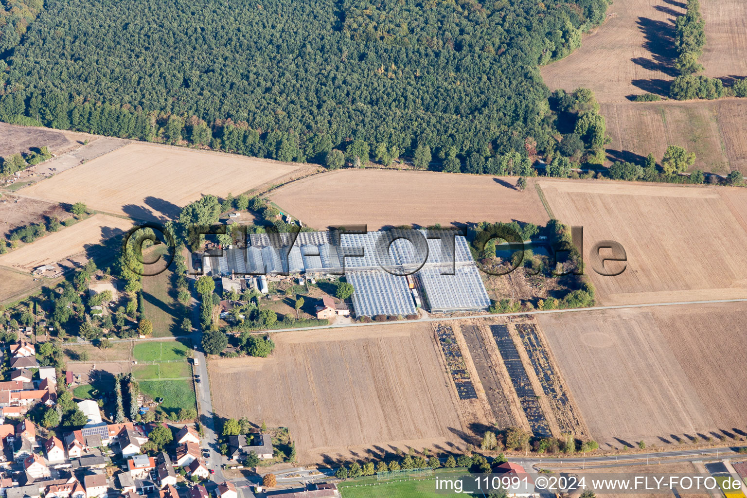 Aerial view of Jörg Wolter Ute Gorges Nursery in the district Hergershausen in Babenhausen in the state Hesse, Germany