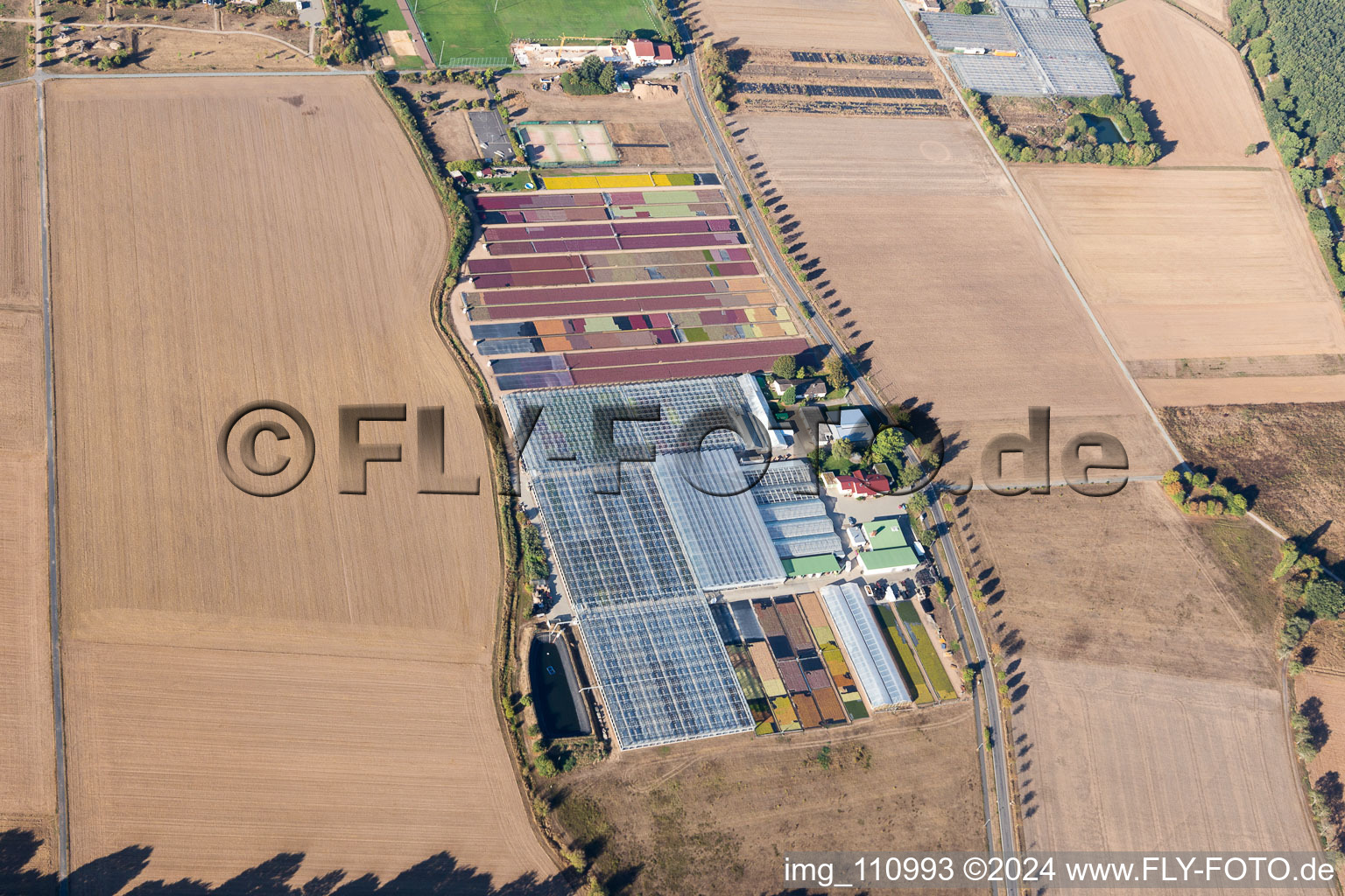 Oblique view of Jörg Wolter Ute Gorges Nursery in the district Hergershausen in Babenhausen in the state Hesse, Germany