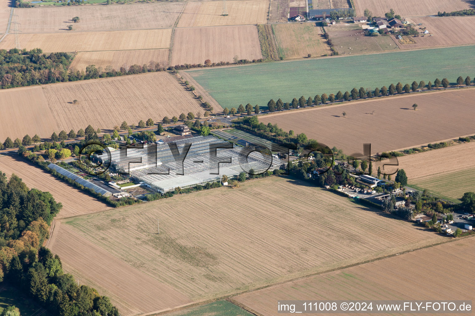 Löwen Nursery in Seligenstadt in the state Hesse, Germany