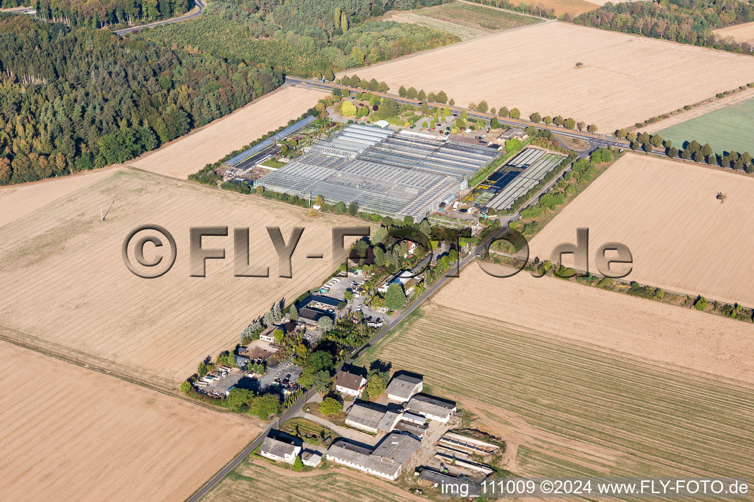 Drone recording of Seligenstadt in the state Hesse, Germany