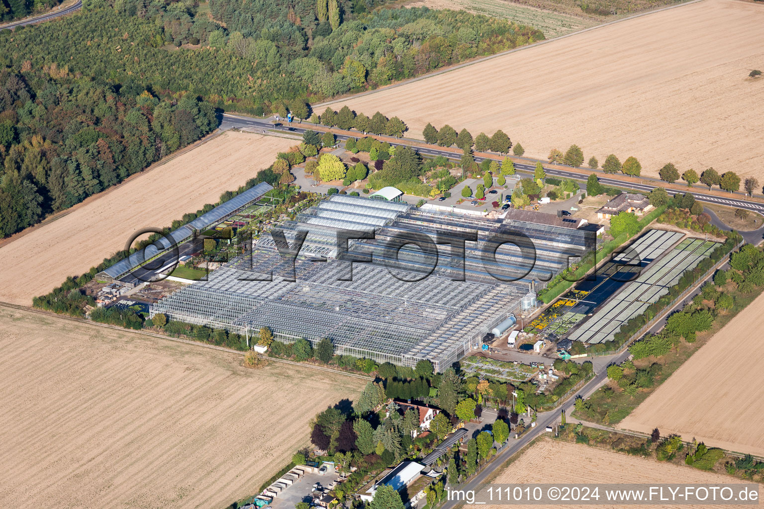 Drone image of Seligenstadt in the state Hesse, Germany