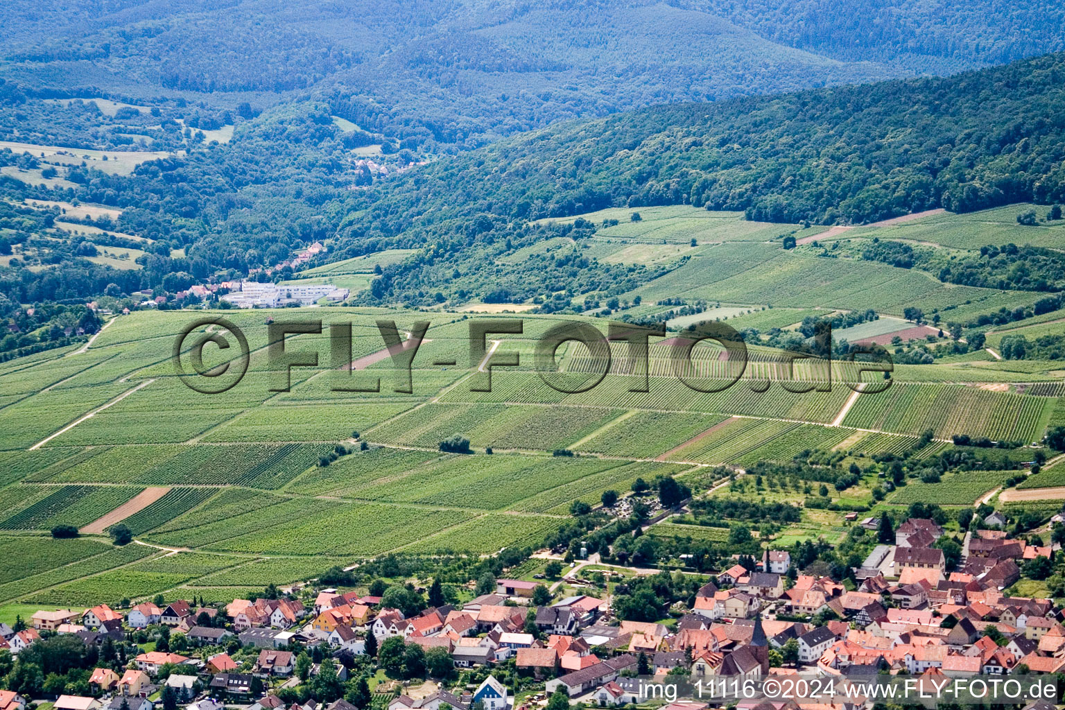 Oblique view of Silence, sunny mountain in the district Rechtenbach in Schweigen-Rechtenbach in the state Rhineland-Palatinate, Germany