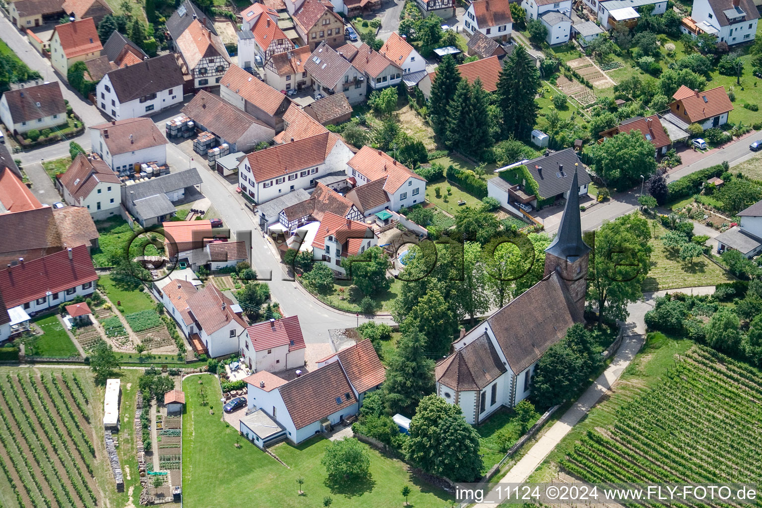 District Rechtenbach in Schweigen-Rechtenbach in the state Rhineland-Palatinate, Germany from above