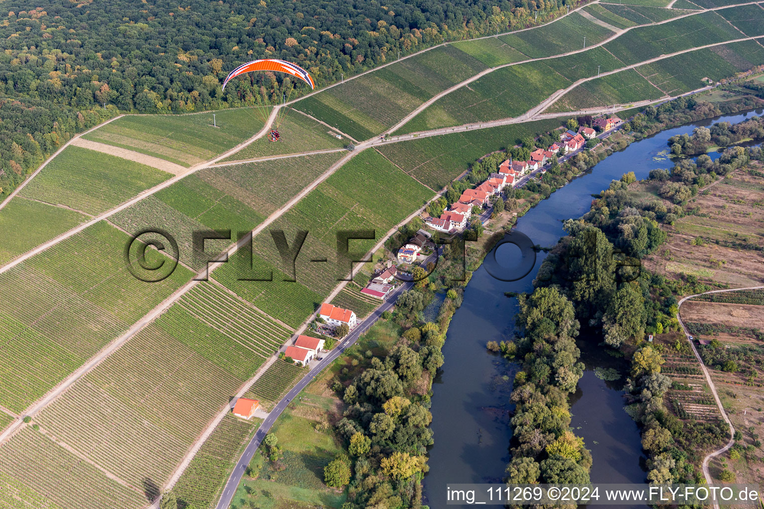 Vineyards on the Main at Köhler in Köhler in the state Bavaria, Germany