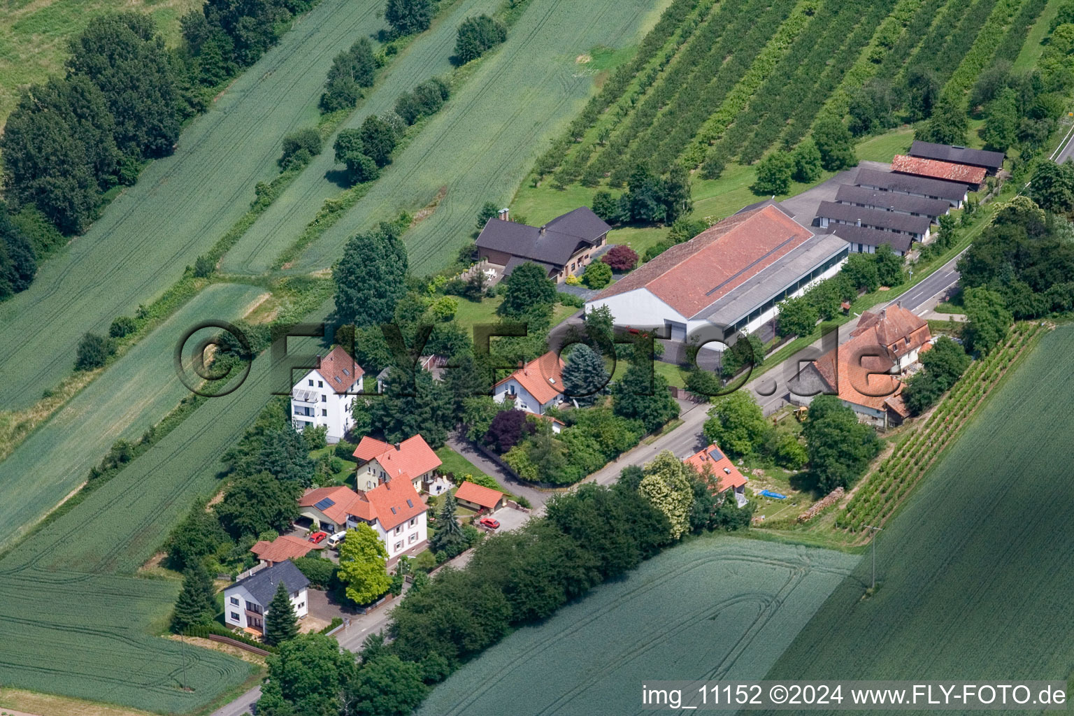 Hergersweiler in the state Rhineland-Palatinate, Germany viewn from the air