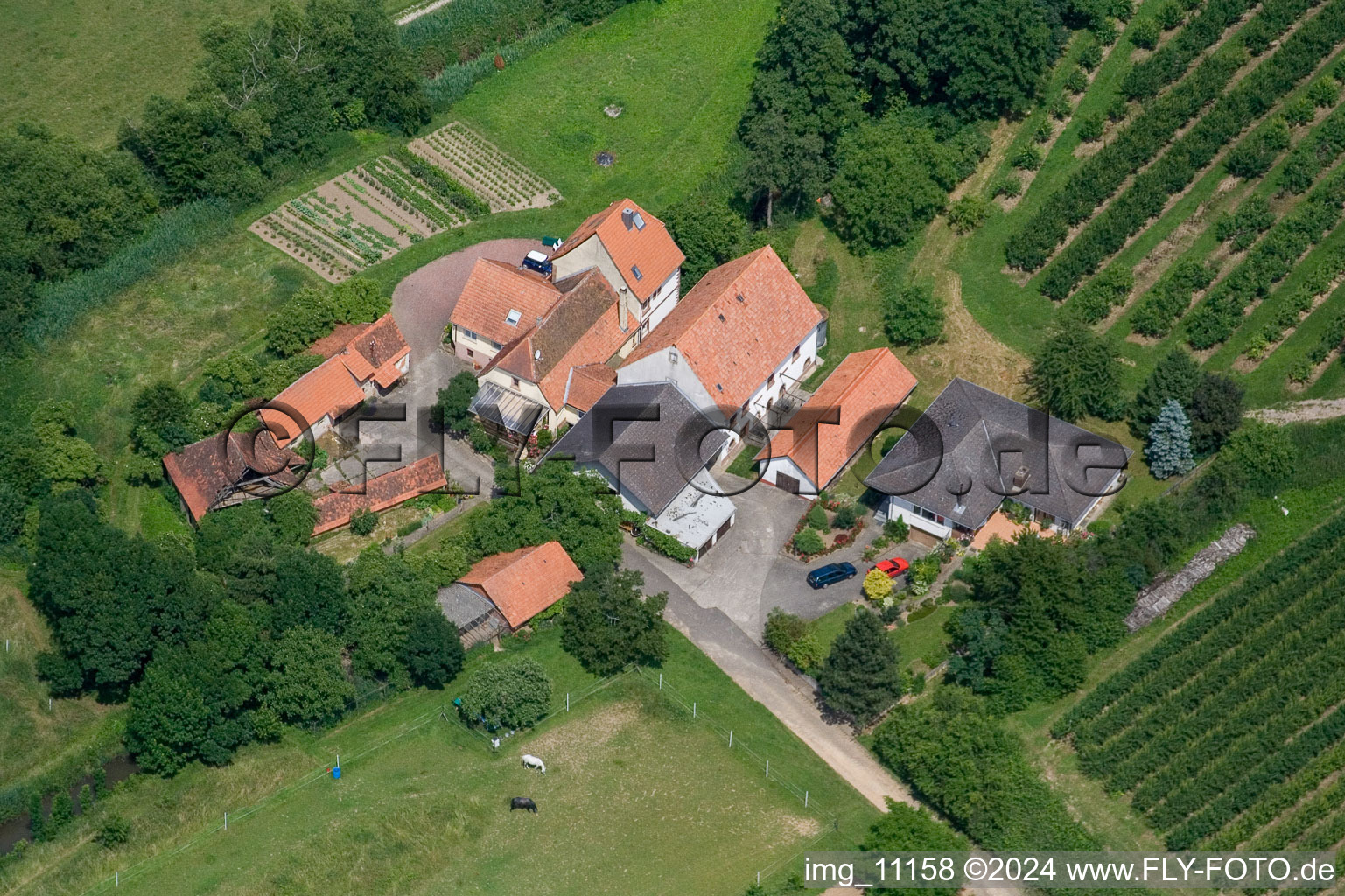 Hergersweiler in the state Rhineland-Palatinate, Germany seen from a drone