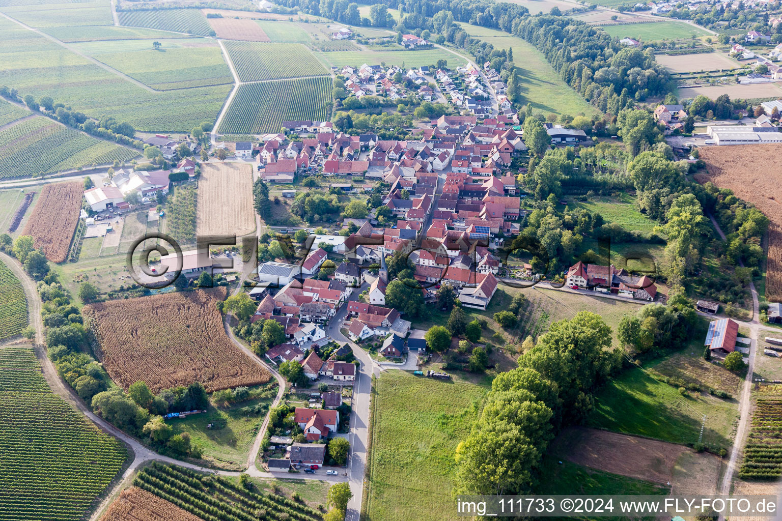 Bird's eye view of District Klingen in Heuchelheim-Klingen in the state Rhineland-Palatinate, Germany