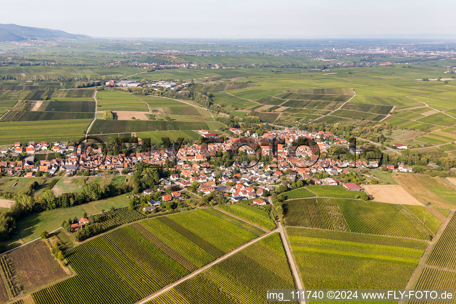 Göcklingen in the state Rhineland-Palatinate, Germany out of the air