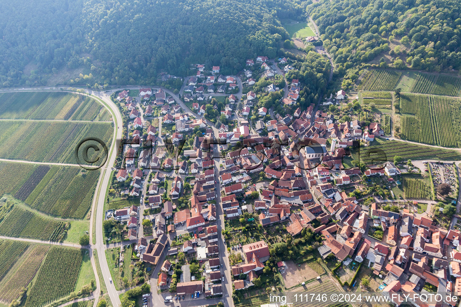 Eschbach in the state Rhineland-Palatinate, Germany from above