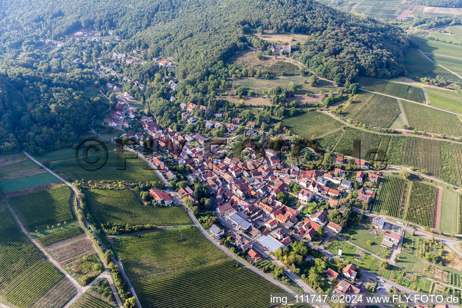 Leinsweiler in the state Rhineland-Palatinate, Germany out of the air