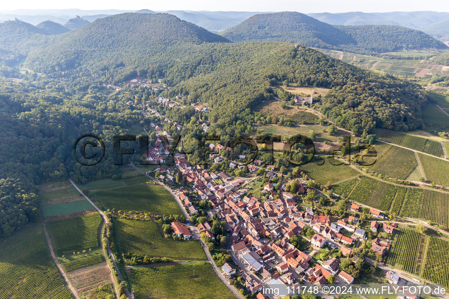 Leinsweiler in the state Rhineland-Palatinate, Germany seen from above