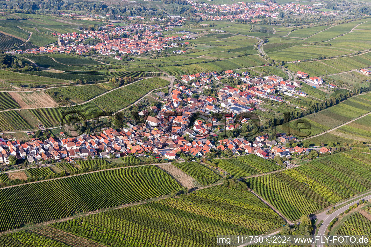 Drone recording of Ranschbach in the state Rhineland-Palatinate, Germany