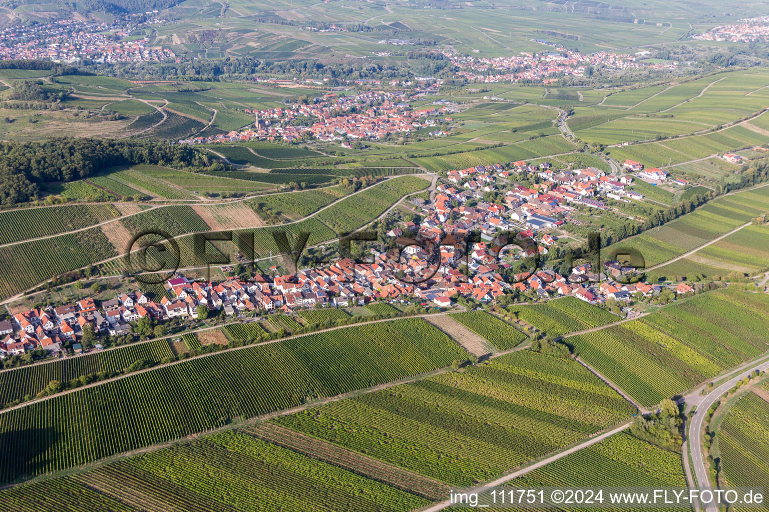 Drone image of Ranschbach in the state Rhineland-Palatinate, Germany