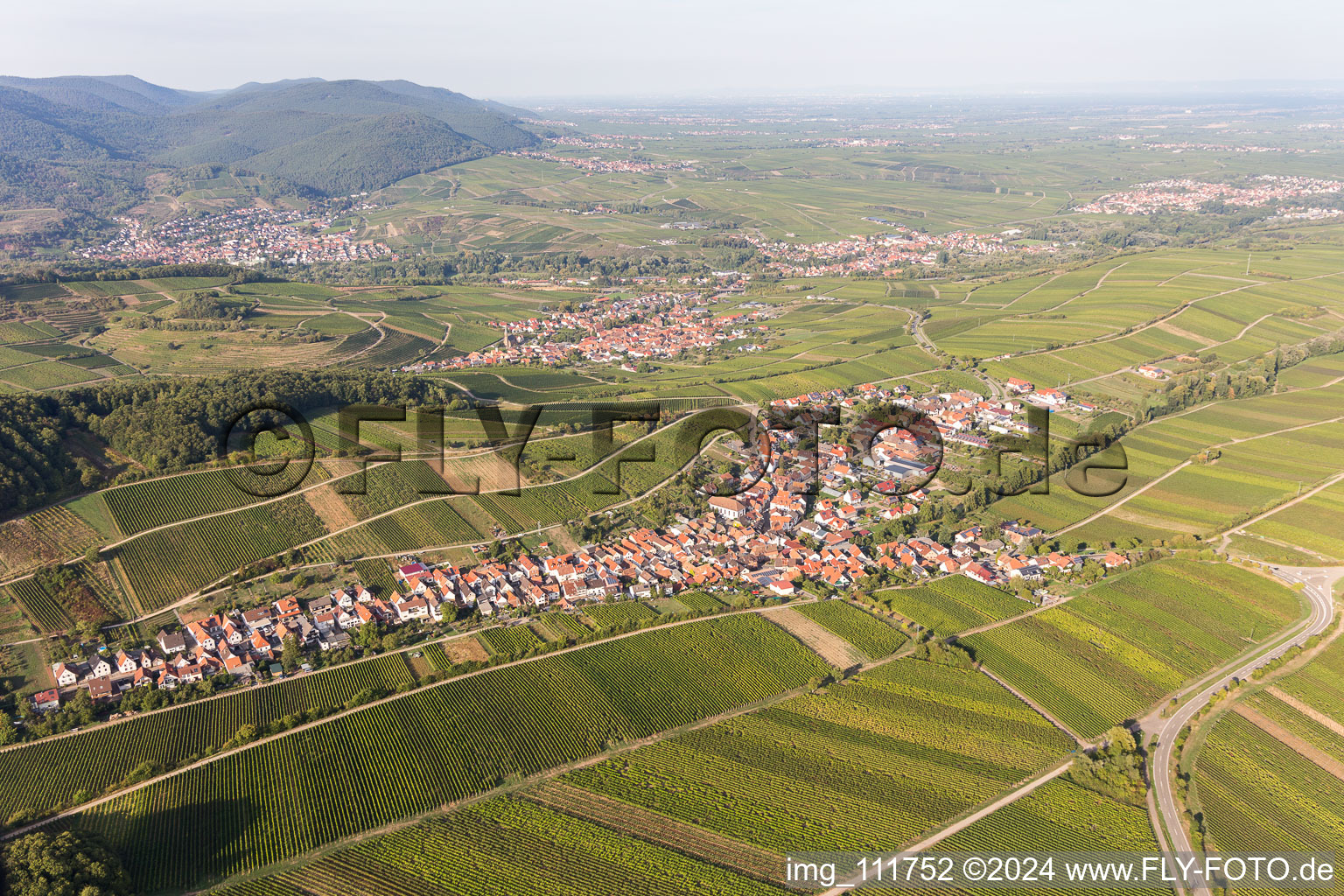 Ranschbach in the state Rhineland-Palatinate, Germany from the drone perspective