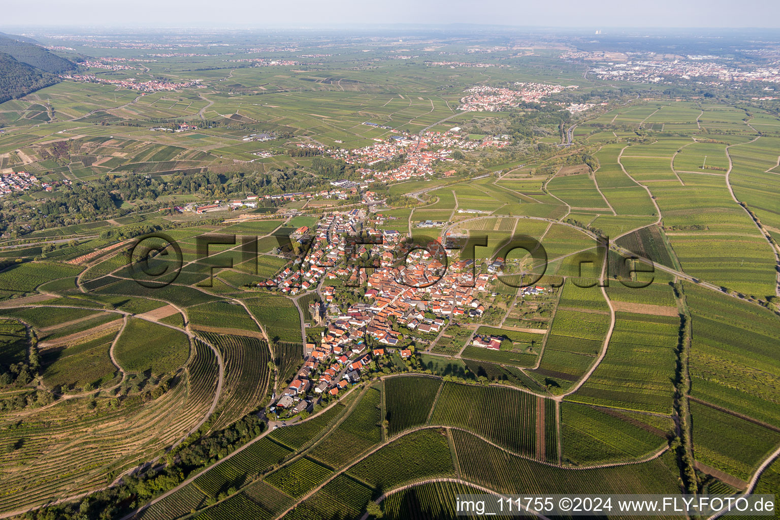 Drone image of Birkweiler in the state Rhineland-Palatinate, Germany