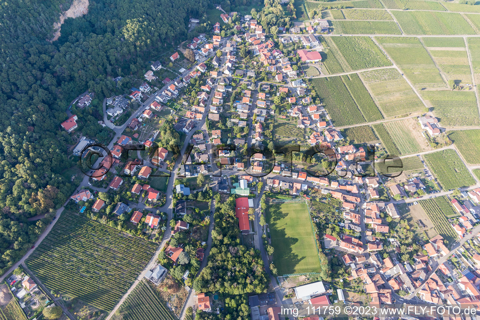 Bird's eye view of Frankweiler in the state Rhineland-Palatinate, Germany