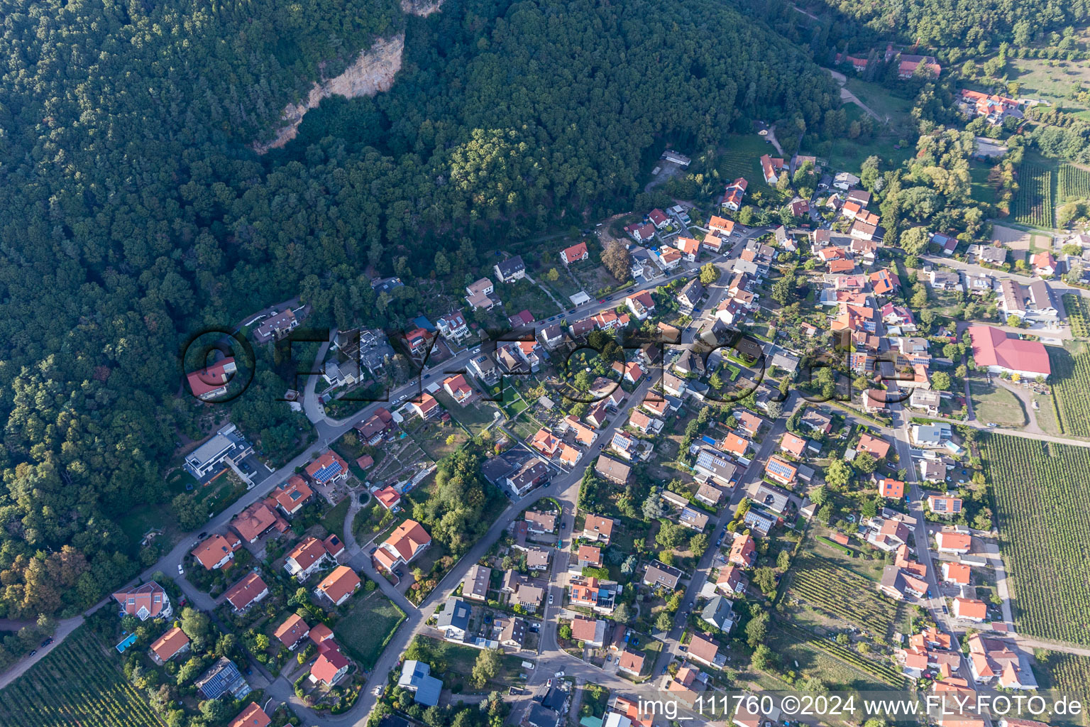 Bird's eye view of Frankweiler in the state Rhineland-Palatinate, Germany