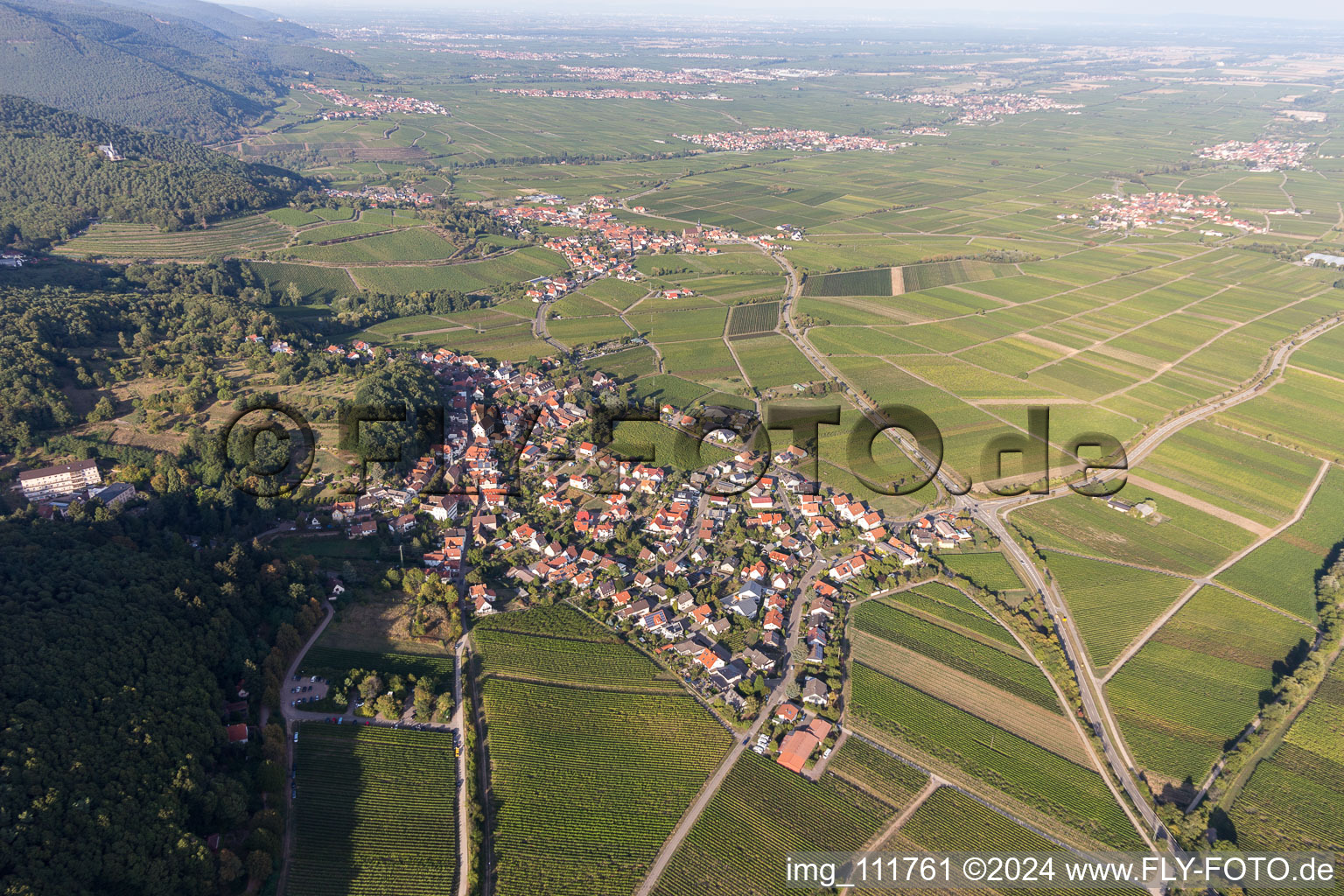 Drone recording of Gleisweiler in the state Rhineland-Palatinate, Germany