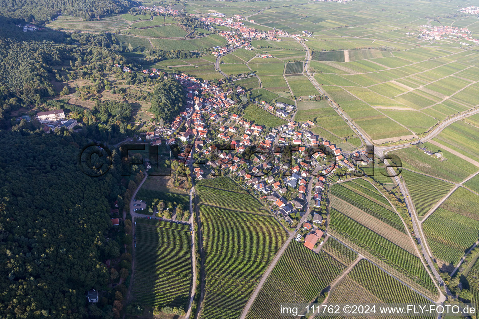 Drone image of Gleisweiler in the state Rhineland-Palatinate, Germany