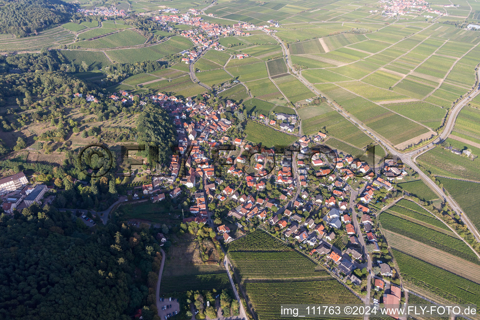 Gleisweiler in the state Rhineland-Palatinate, Germany from the drone perspective