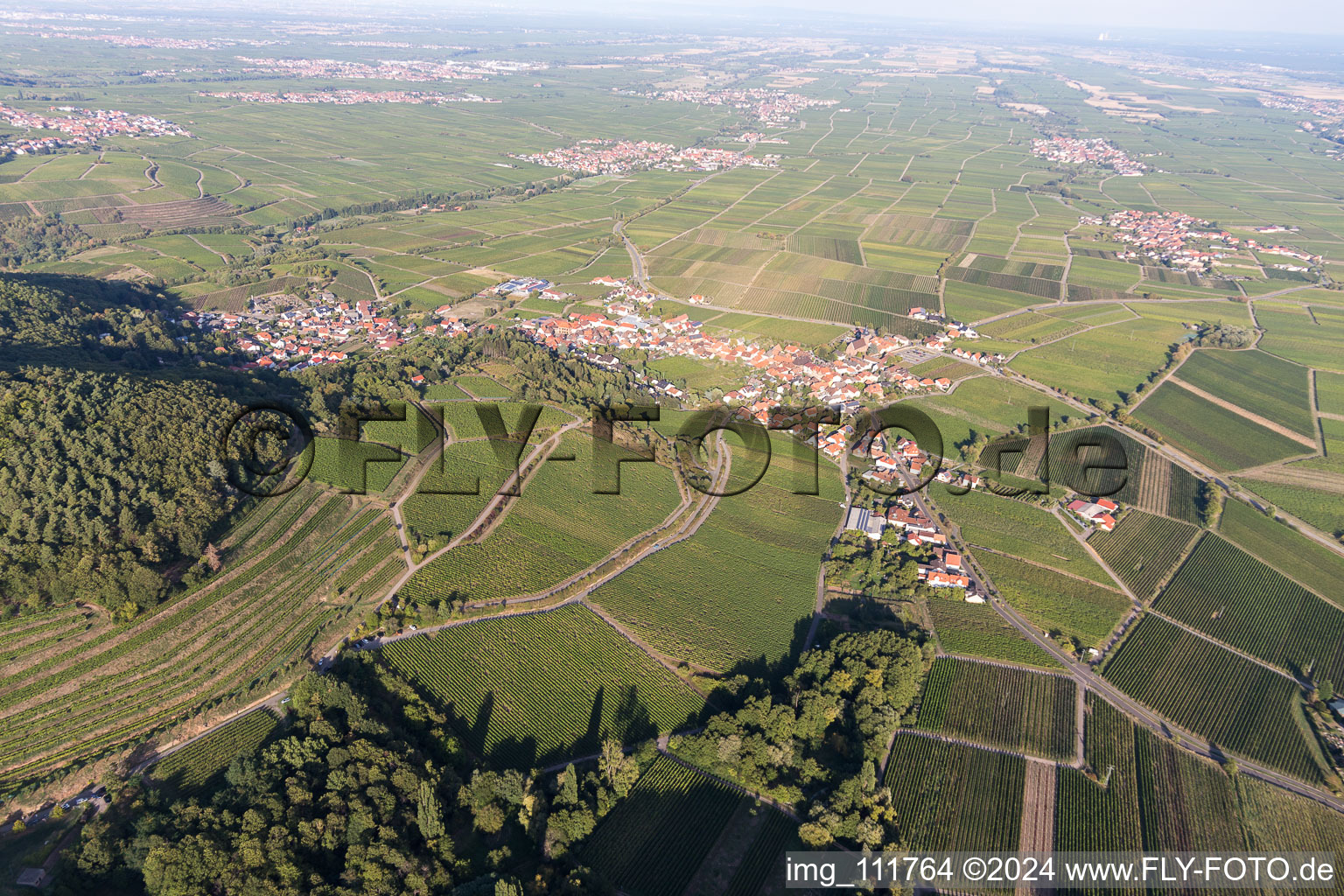 Oblique view of Burrweiler in the state Rhineland-Palatinate, Germany