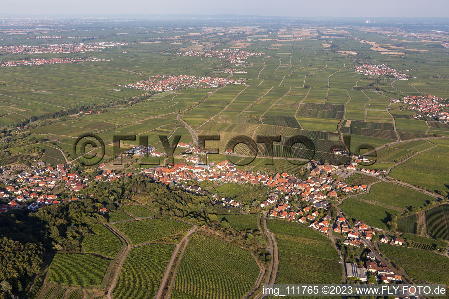 Burrweiler in the state Rhineland-Palatinate, Germany from above