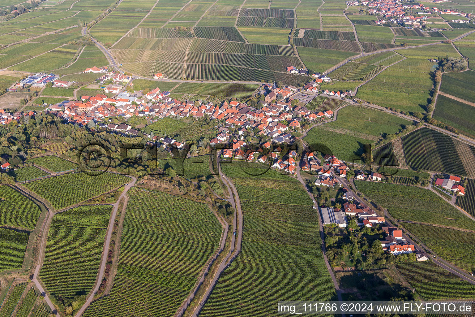 Burrweiler in the state Rhineland-Palatinate, Germany out of the air