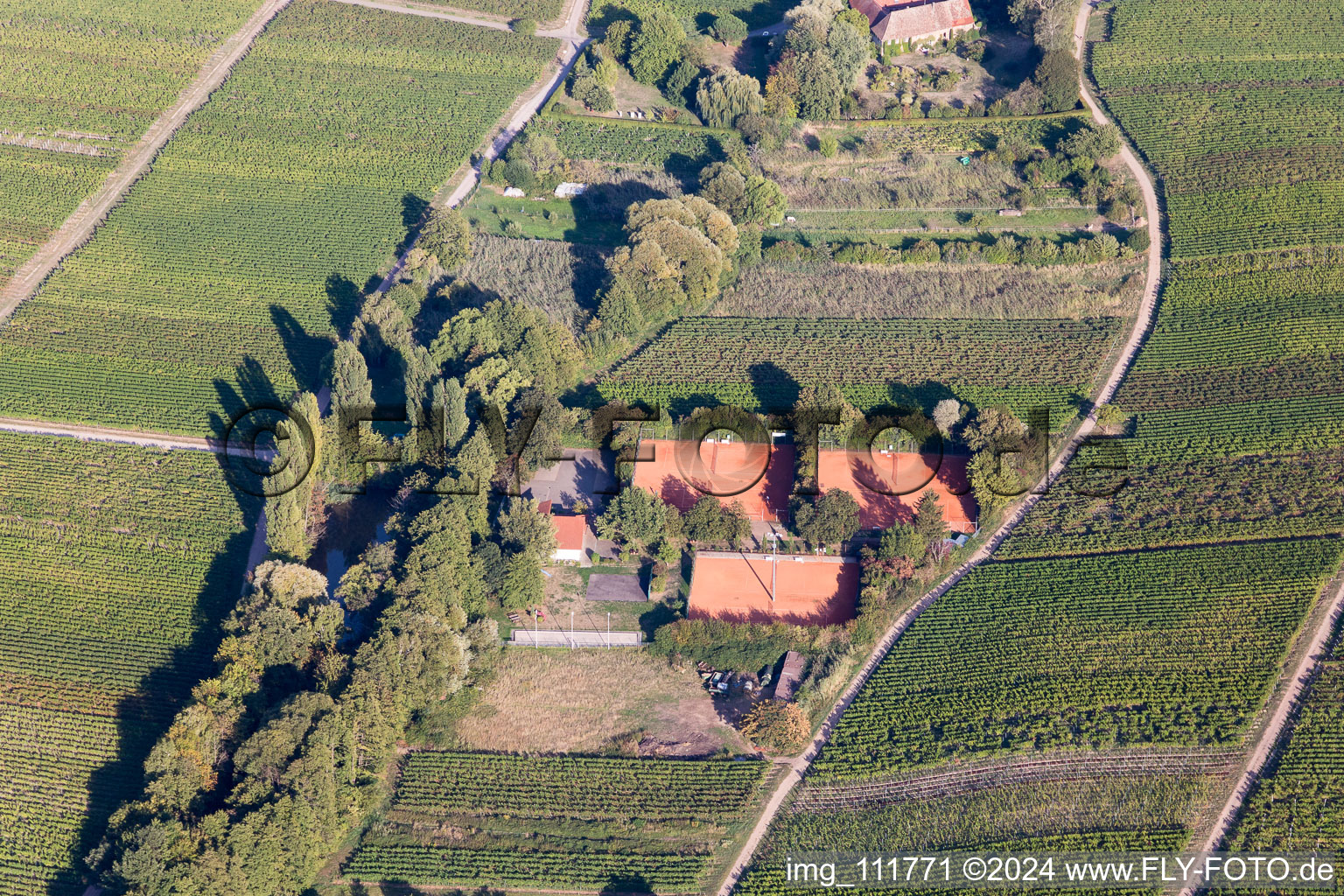 Burrweiler in the state Rhineland-Palatinate, Germany seen from above