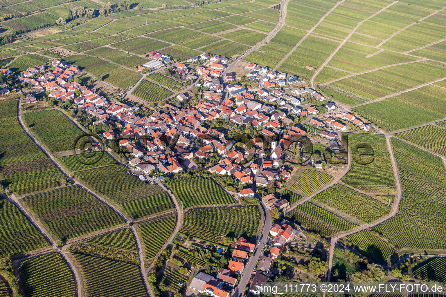 Oblique view of Weyher in der Pfalz in the state Rhineland-Palatinate, Germany