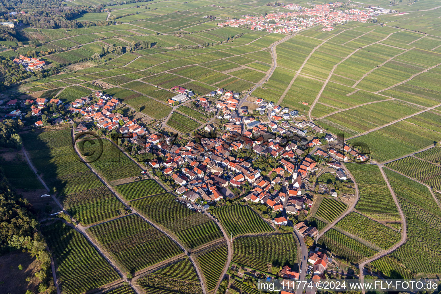 Weyher in der Pfalz in the state Rhineland-Palatinate, Germany from above