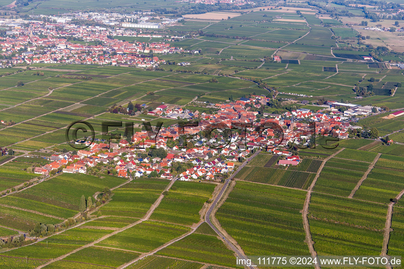 Rhodt unter Rietburg in the state Rhineland-Palatinate, Germany from the plane