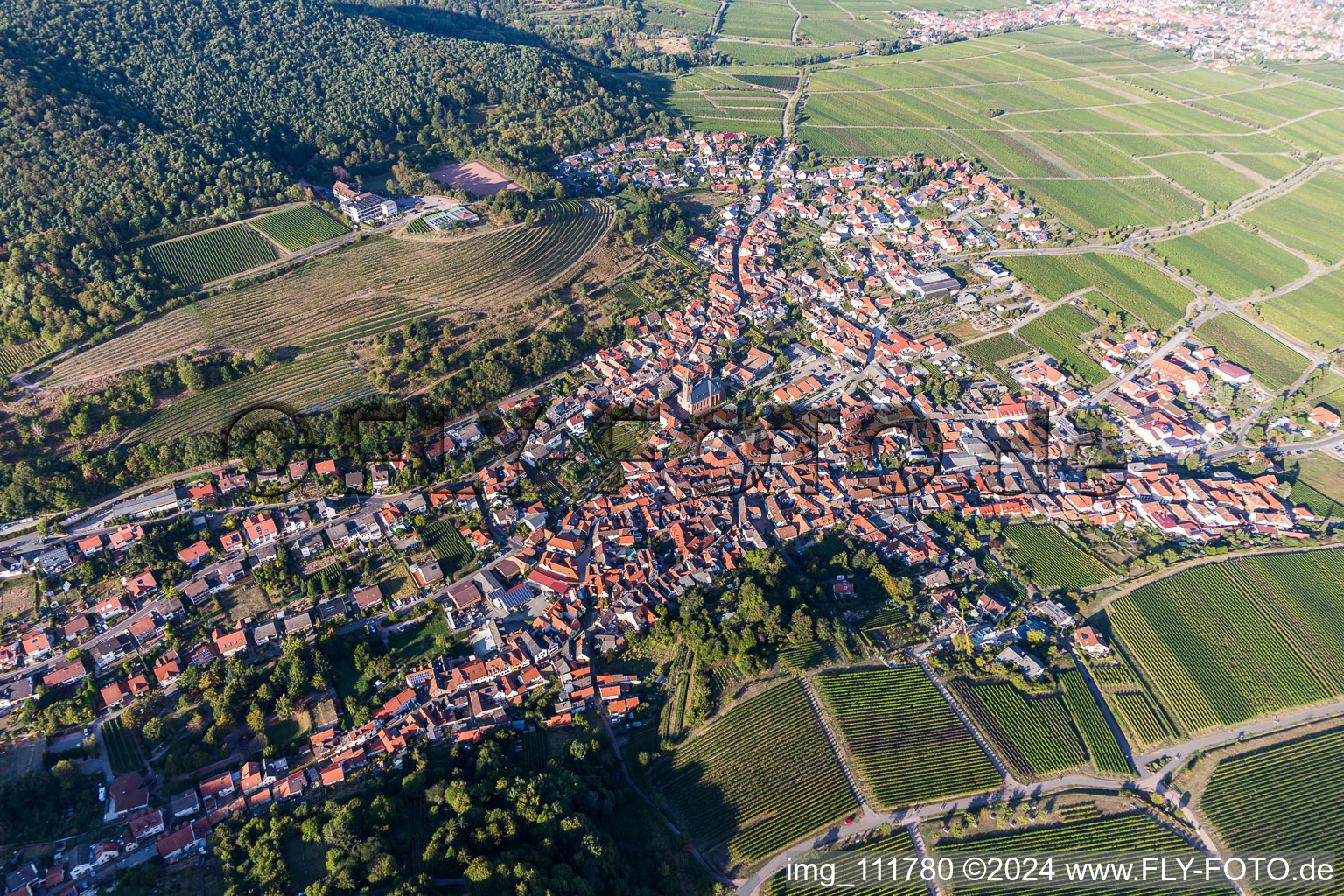 Aerial photograpy of Sankt Martin in the state Rhineland-Palatinate, Germany