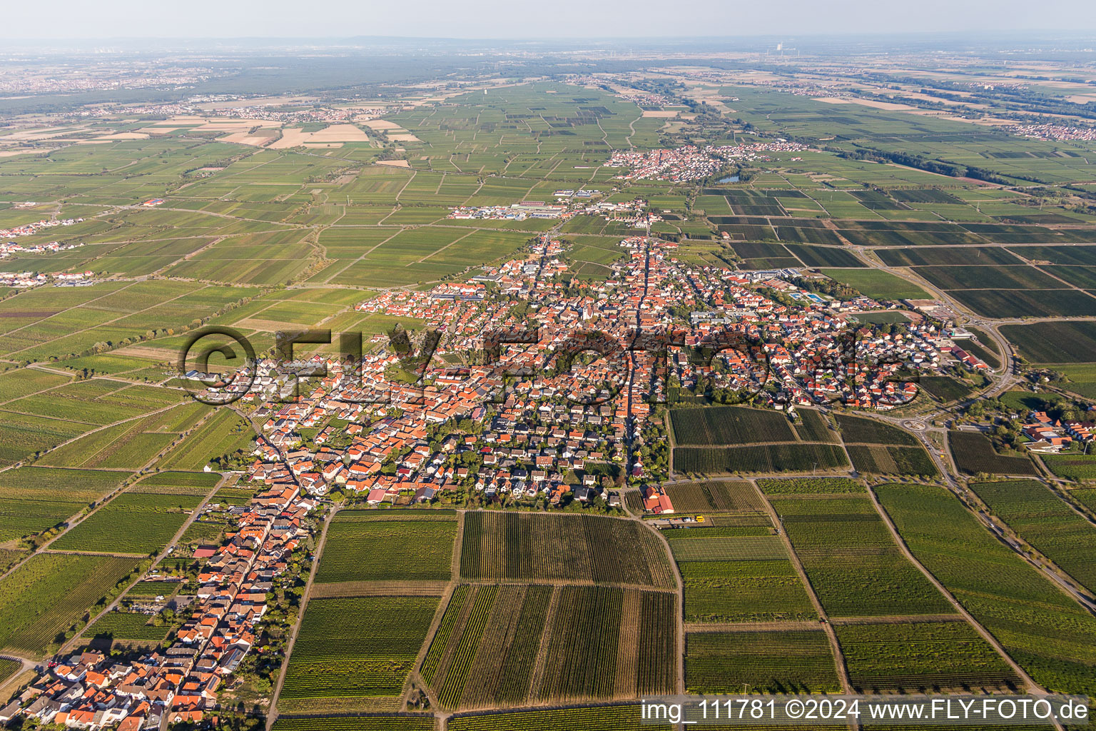 Maikammer in the state Rhineland-Palatinate, Germany from the drone perspective