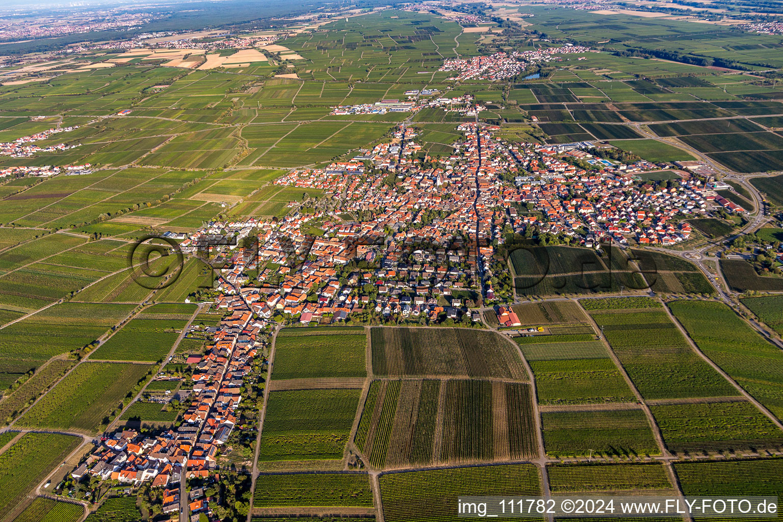 Maikammer in the state Rhineland-Palatinate, Germany from a drone