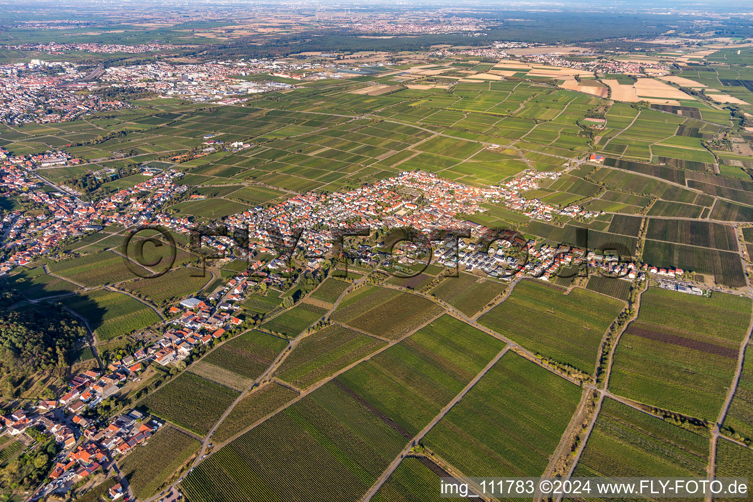 District Diedesfeld in Neustadt an der Weinstraße in the state Rhineland-Palatinate, Germany out of the air