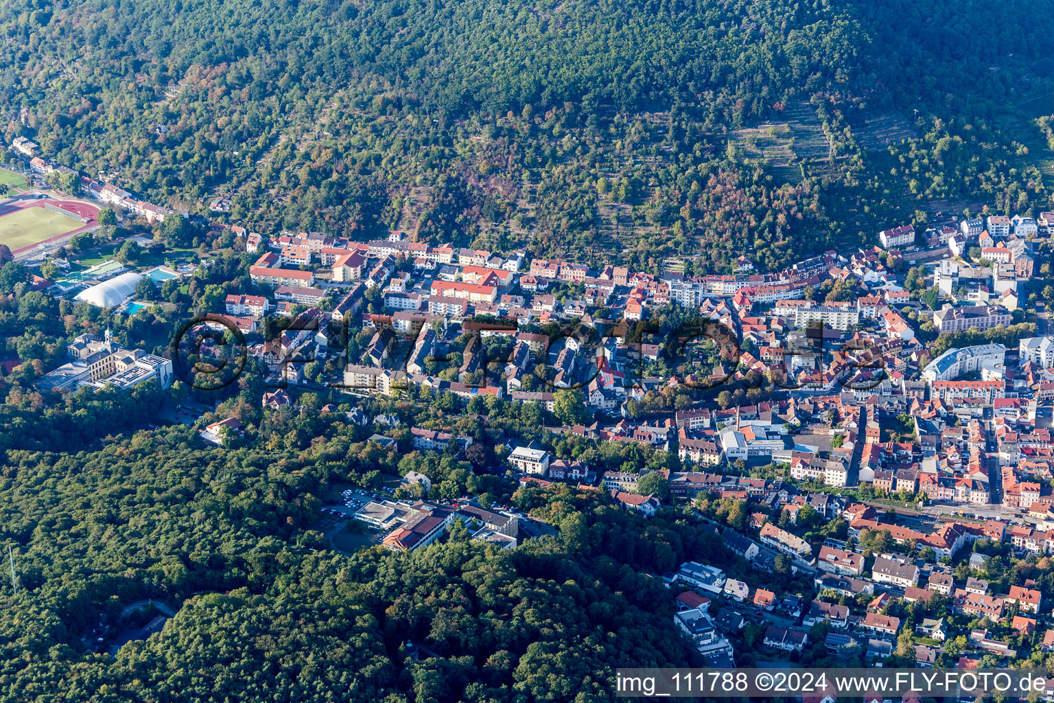 Aerial view of Schöntal in Neustadt an der Weinstraße in the state Rhineland-Palatinate, Germany