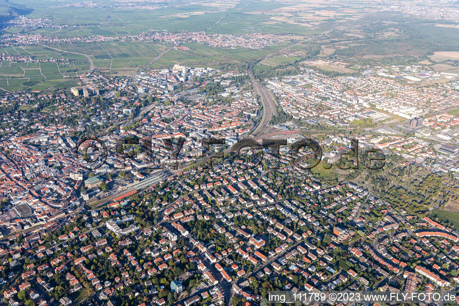 Drone image of Neustadt an der Weinstraße in the state Rhineland-Palatinate, Germany