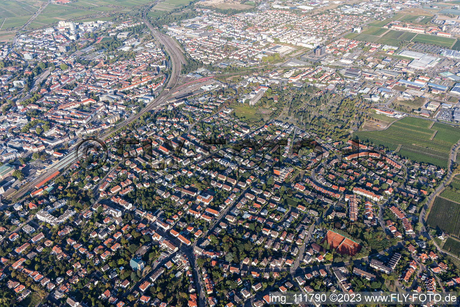 Neustadt an der Weinstraße in the state Rhineland-Palatinate, Germany from the drone perspective