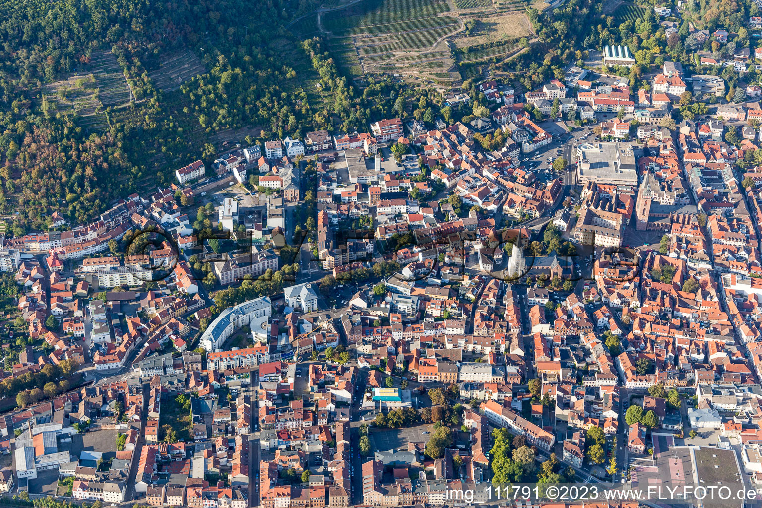 Neustadt an der Weinstraße in the state Rhineland-Palatinate, Germany from a drone