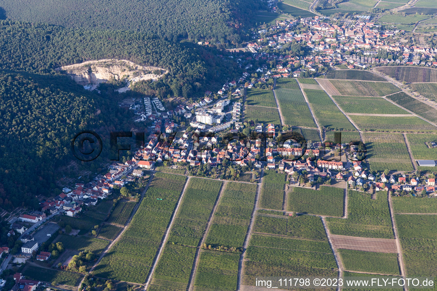 District Haardt in Neustadt an der Weinstraße in the state Rhineland-Palatinate, Germany