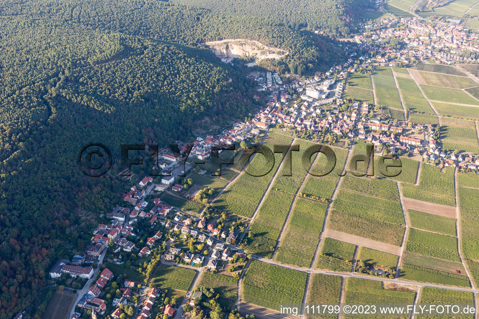 Almond ring in the district Haardt in Neustadt an der Weinstraße in the state Rhineland-Palatinate, Germany