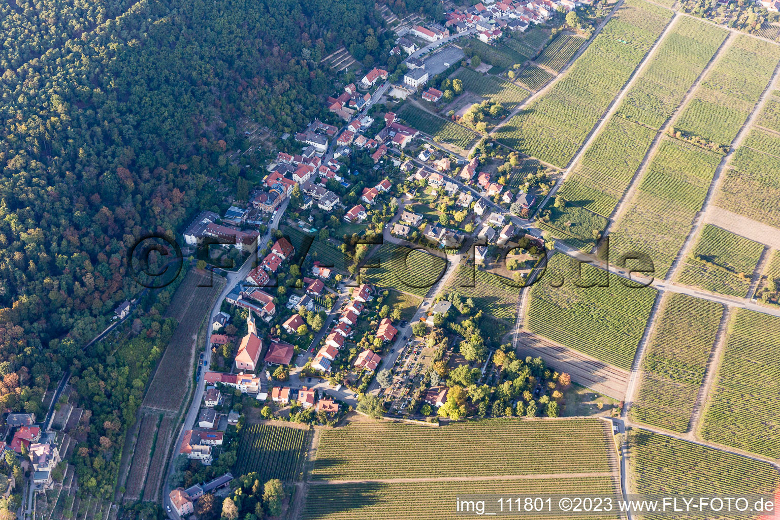 Aerial view of District Haardt in Neustadt an der Weinstraße in the state Rhineland-Palatinate, Germany