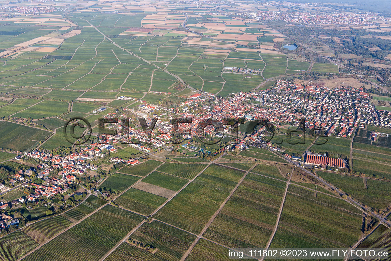 Mussbach in the district Mußbach in Neustadt an der Weinstraße in the state Rhineland-Palatinate, Germany