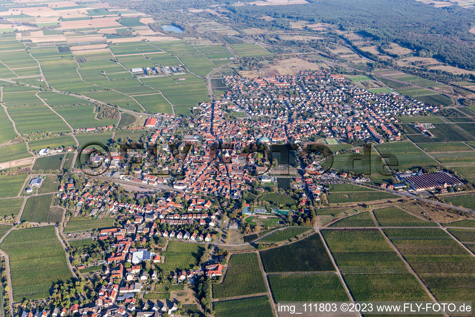 Aerial view of Mussbach in the district Mußbach in Neustadt an der Weinstraße in the state Rhineland-Palatinate, Germany