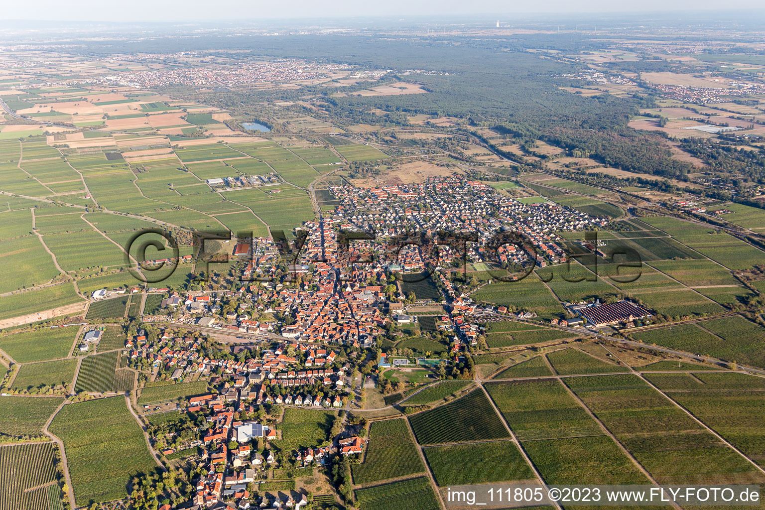 Aerial photograpy of Mussbach in the district Mußbach in Neustadt an der Weinstraße in the state Rhineland-Palatinate, Germany